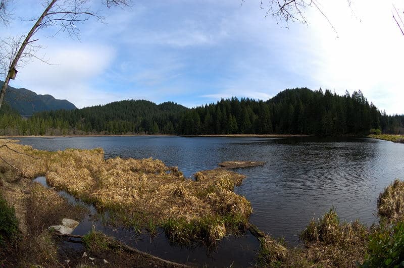 The marshland and forested hills of Minnekhada Regional Park in northeast Coquitlam, with the oak knoll visible in the distance.