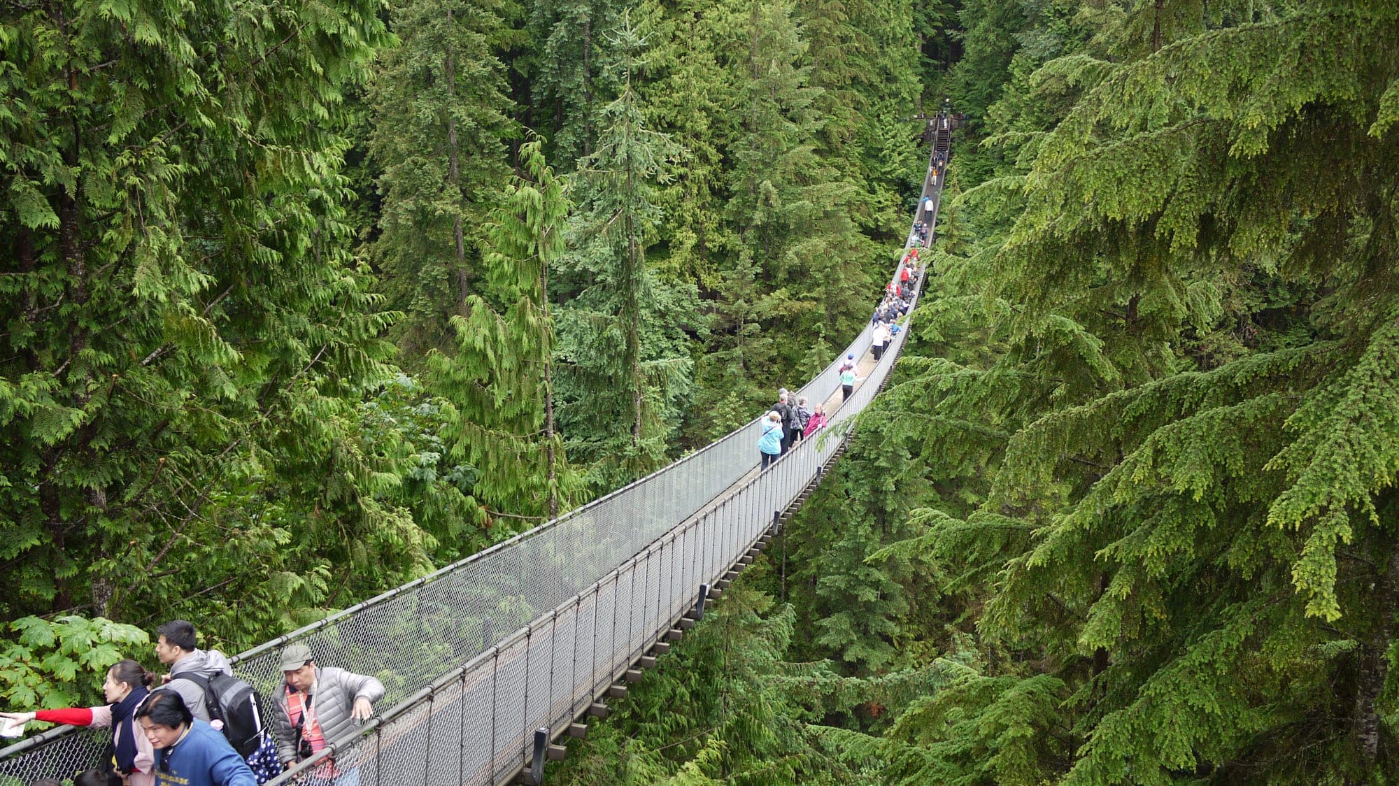 The Capilano Suspension Bridge stretched across the Capilano River canyon in North Vancouver, with tall Douglas fir trees and the river far below.