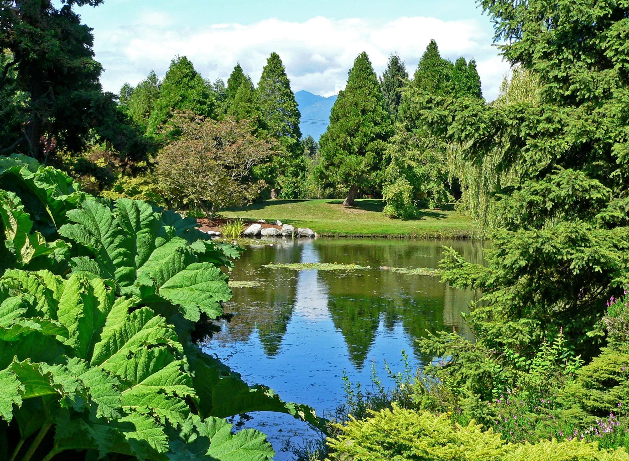 Themed garden beds and mature trees at VanDusen Botanical Garden in Vancouver, part of the 22-hectare public botanical garden.