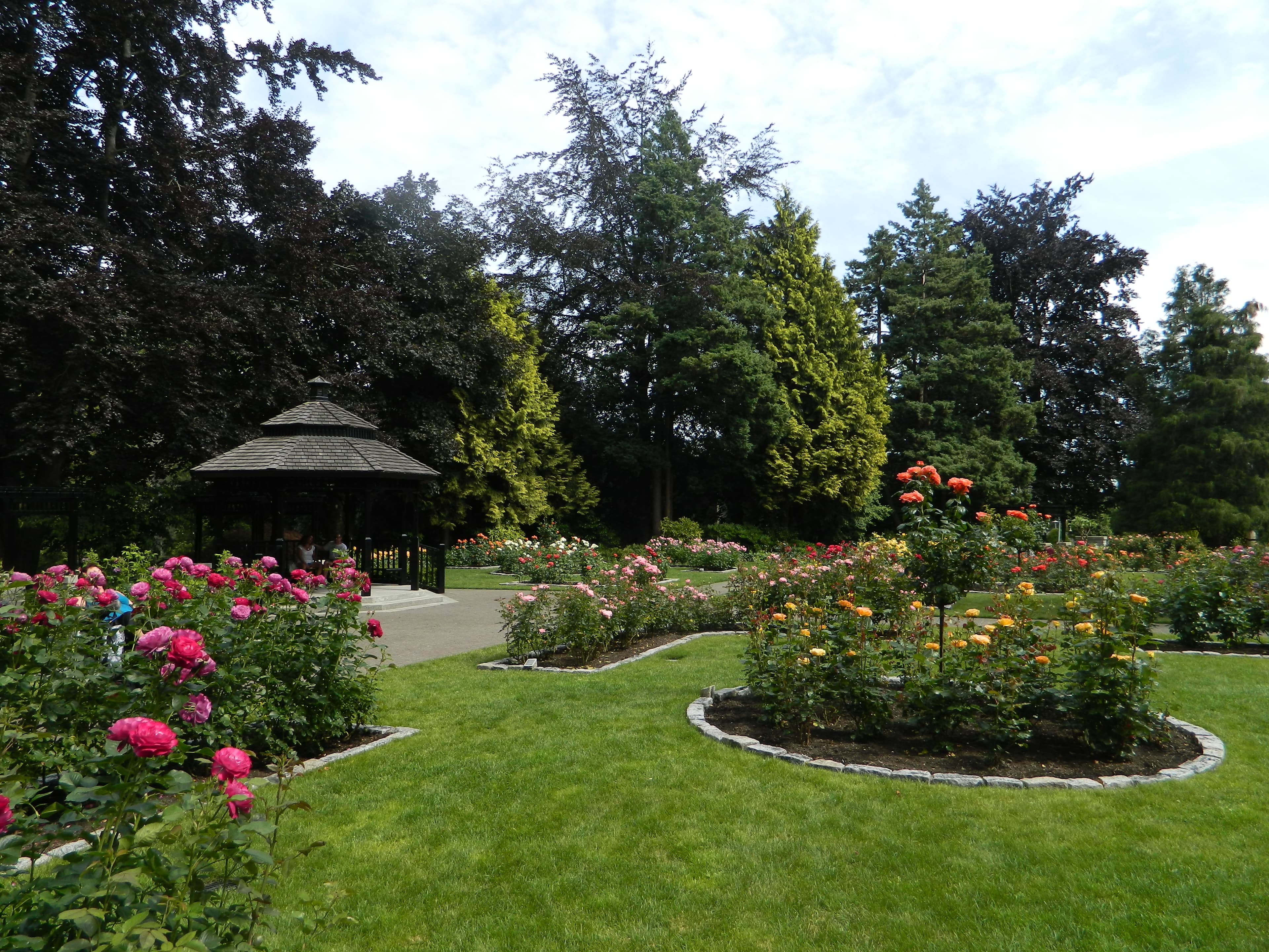 The Queen's Park Rose Garden in New Westminster in full summer bloom, with rows of labelled rose varieties beneath mature trees.